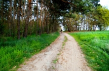 dscf9093