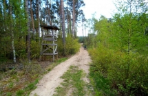 dscf9104