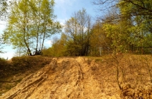 dscf5291