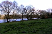 Stado kretów nad Rusałką