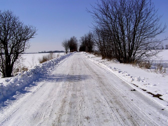 W kierunku Głuchowa
