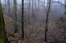 p1180007