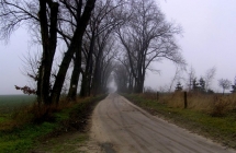 p1180023