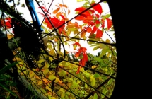 dscf3183