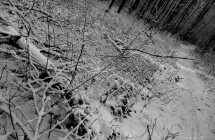 dscf4280