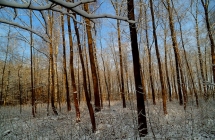dscf4285