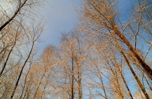 dscf4289