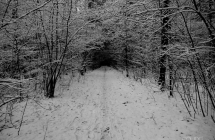 dscf4294